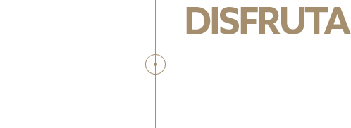 Disfruta el juego en casa